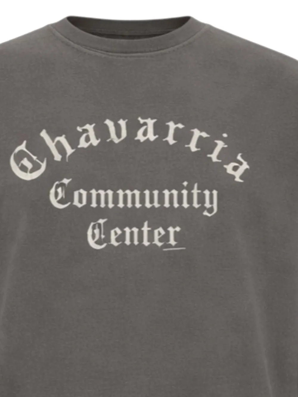 Willy Chavarria Community Center buffalo T-shirt Grijs