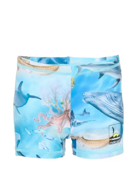 Molo sea-animal-print swim trunks