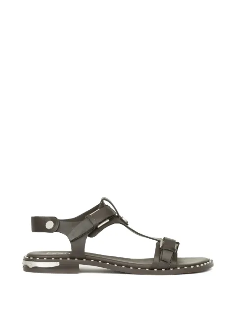 Ash Piper t-strap sandals