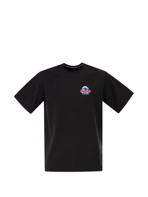 Patagonia Great Waves Responsibili-Tee® T-shirt