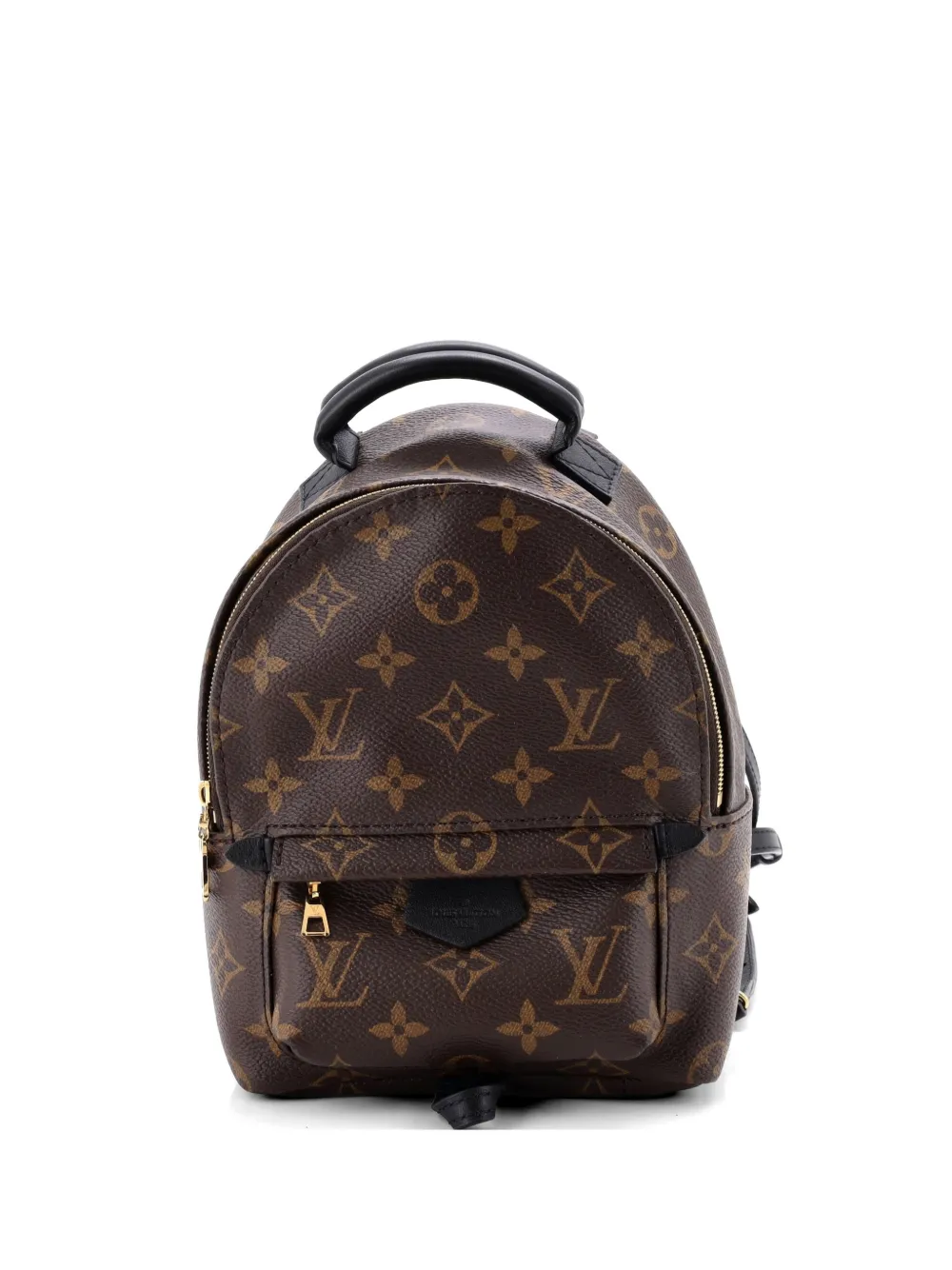 Louis Vuitton Pre-Owned Palm Springs Monogram Canvas Mini backpack - Marrone