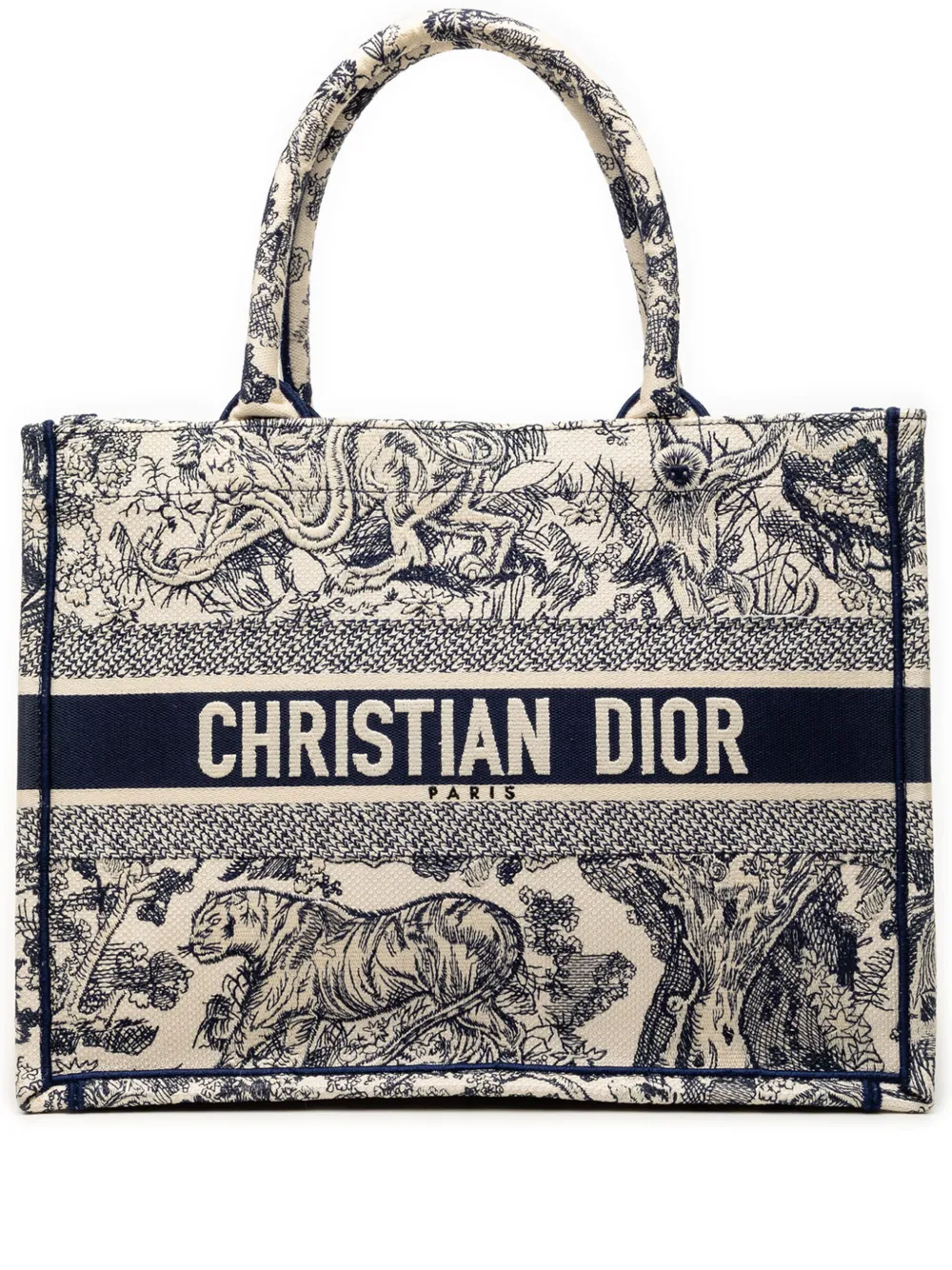 Christian Dior Pre-Owned 2022 Medium Canvas Embroidered Dioriviera Toile De Jouy Book tote bag - Blu