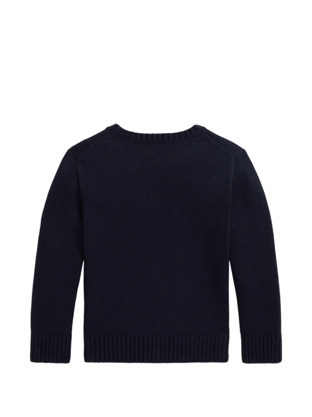 POLO RALPH LAUREN KIDS Katoenen trui met hondenintarsia Blauw