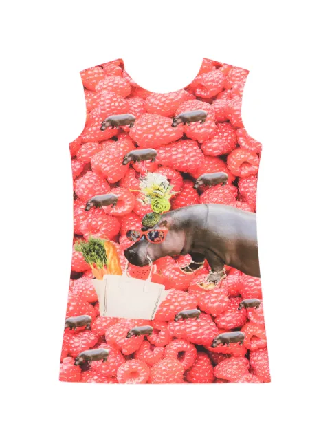 The Artistylist vestido corto sin mangas con frambuesas estampadas