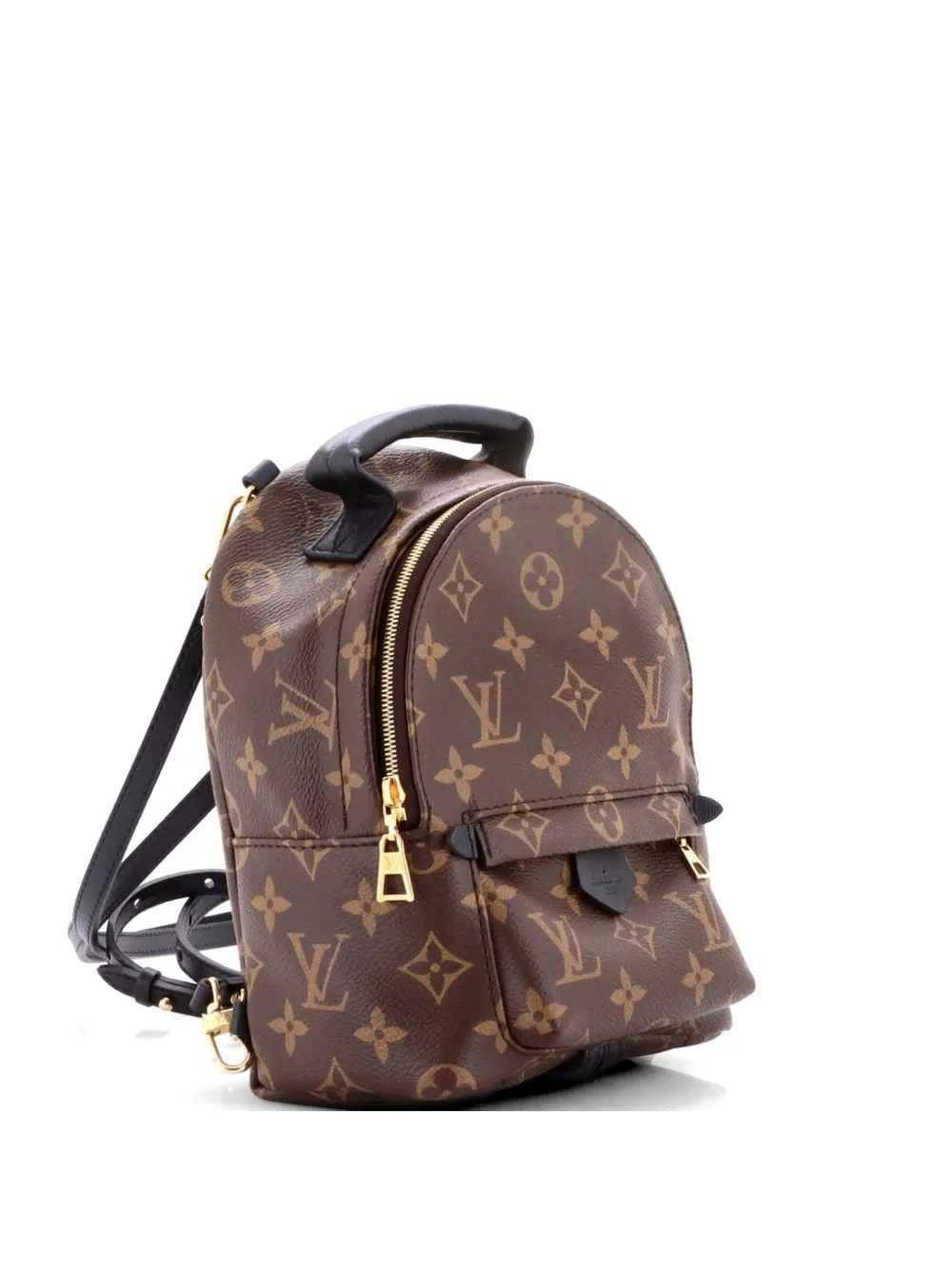 Louis Vuitton Pre-Owned Palm Springs Monogram Canvas Mini backpack - Marrone