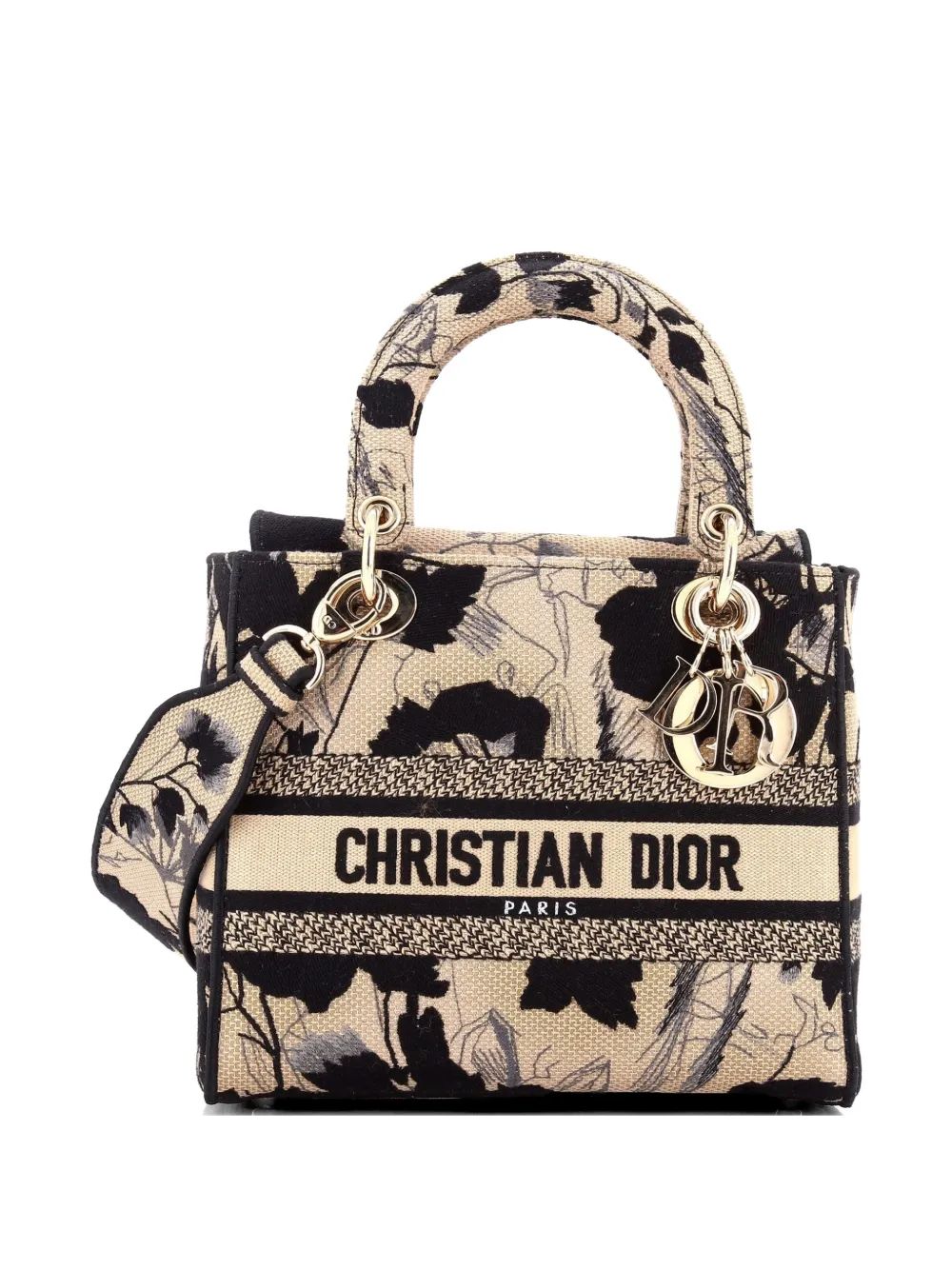 Christian Dior Pre-Owned Lady D-Lite Bag Embroidered Canvas Medium satchel - Toni neutri