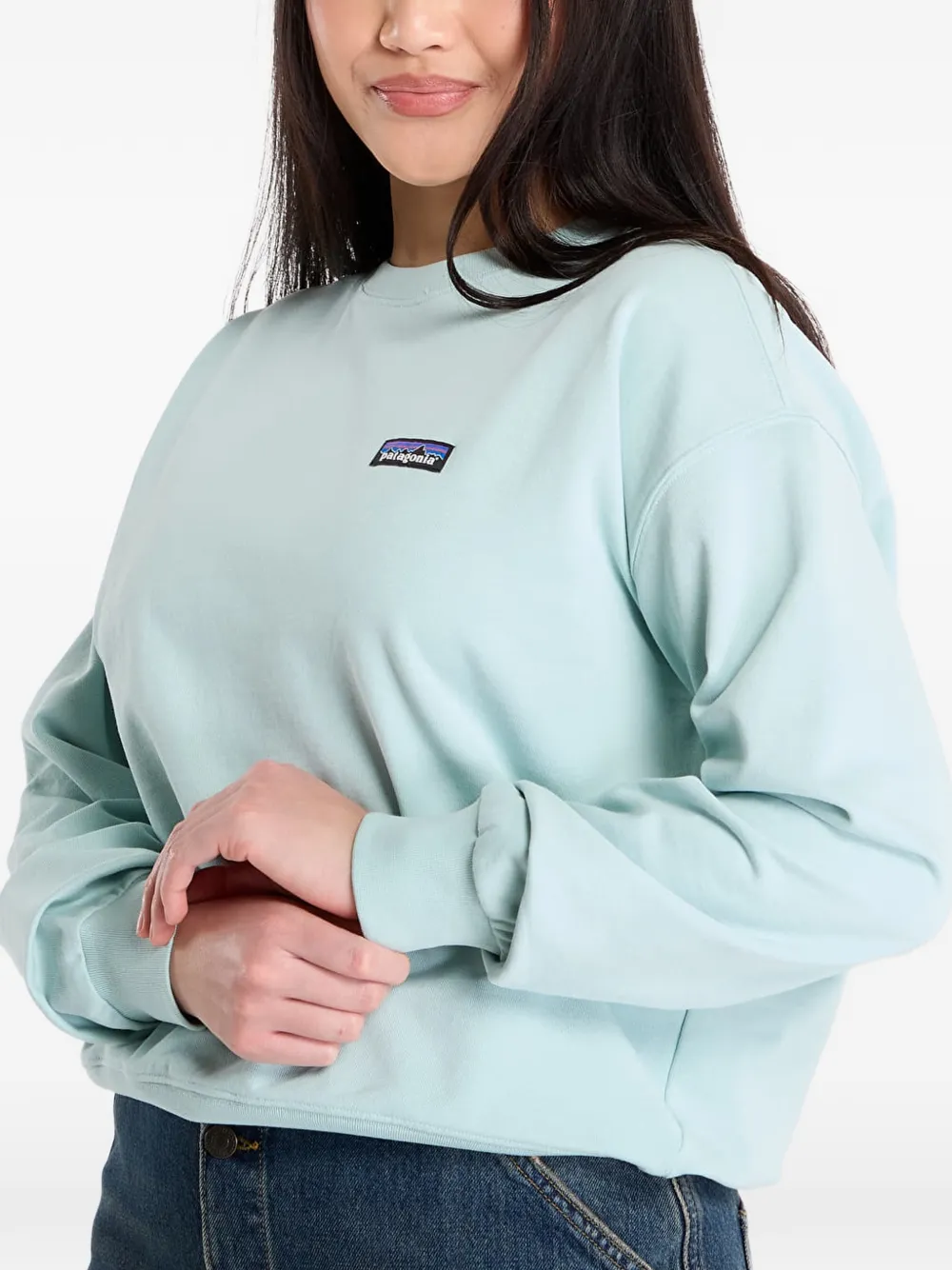 Patagonia Daily Crew sweater met logopatch Blauw