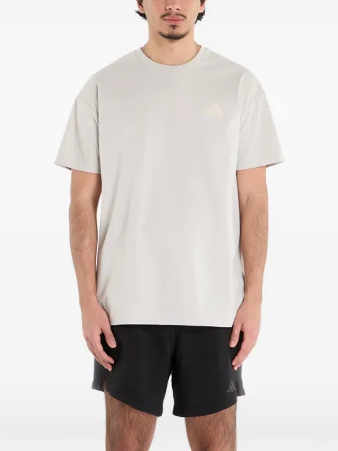 adidas Terrex Xploric graphic T-shirt