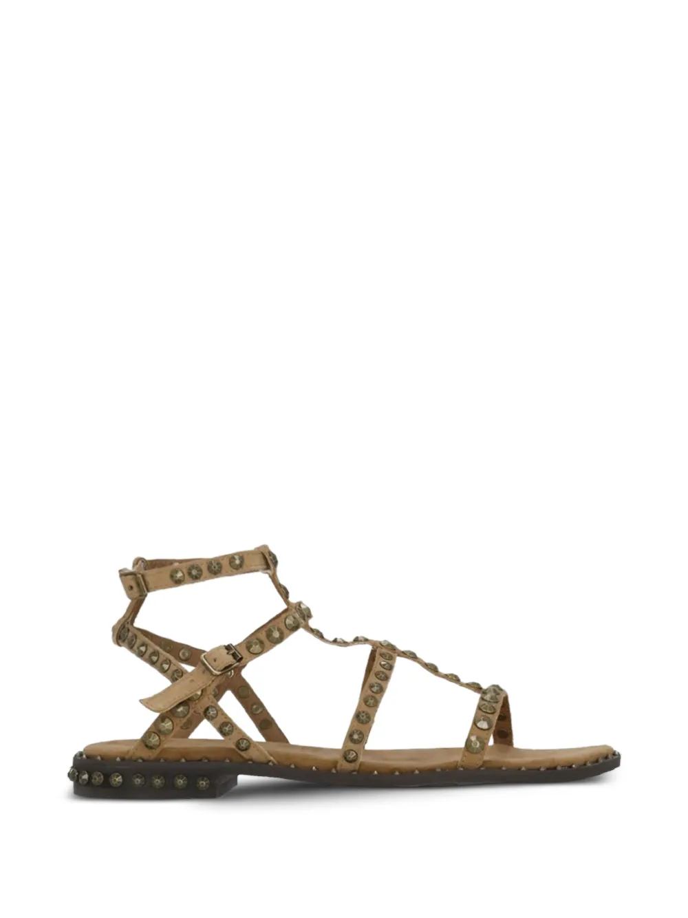 Ash Precious sandals Bruin