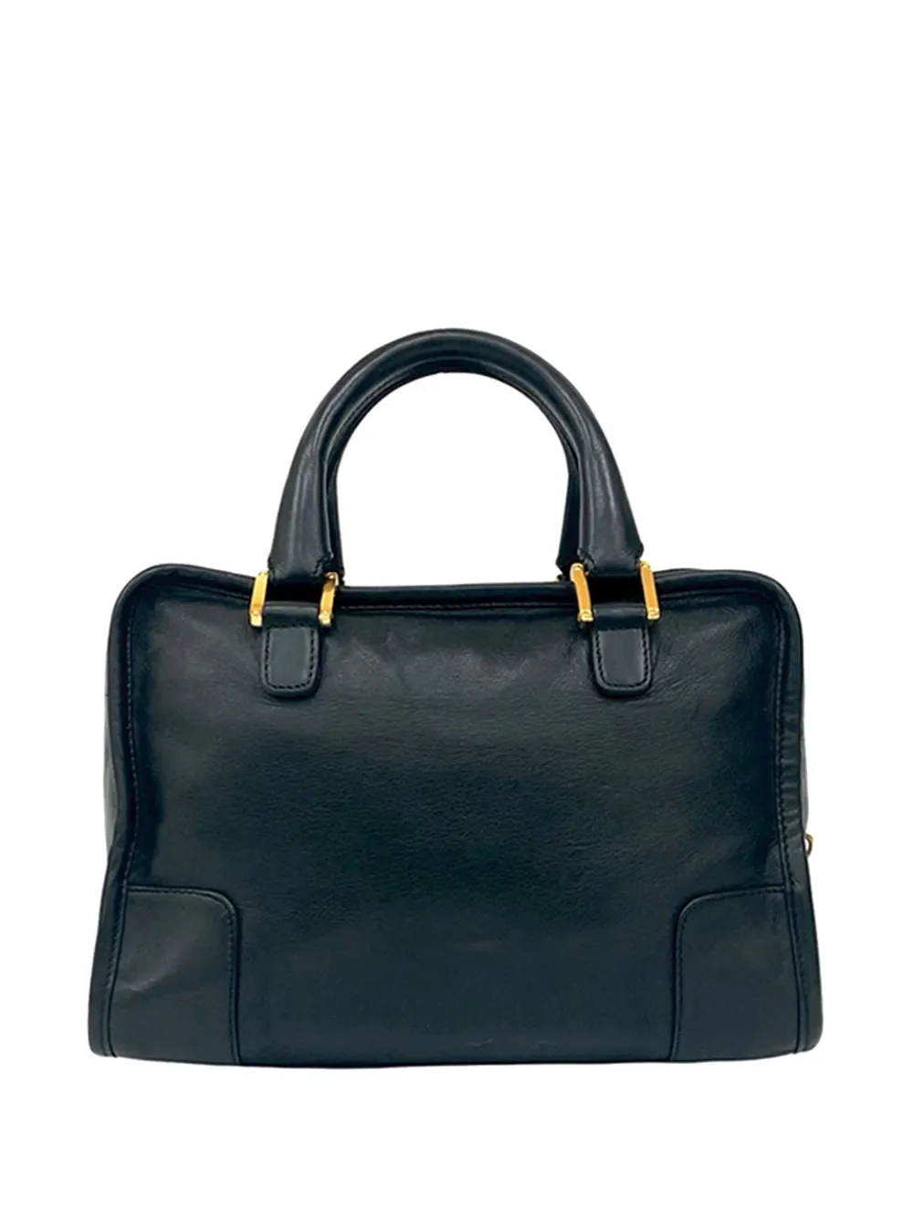 Loewe Pre-Owned 2010-2026 Goatskin Amazona 28 Handbag | Black