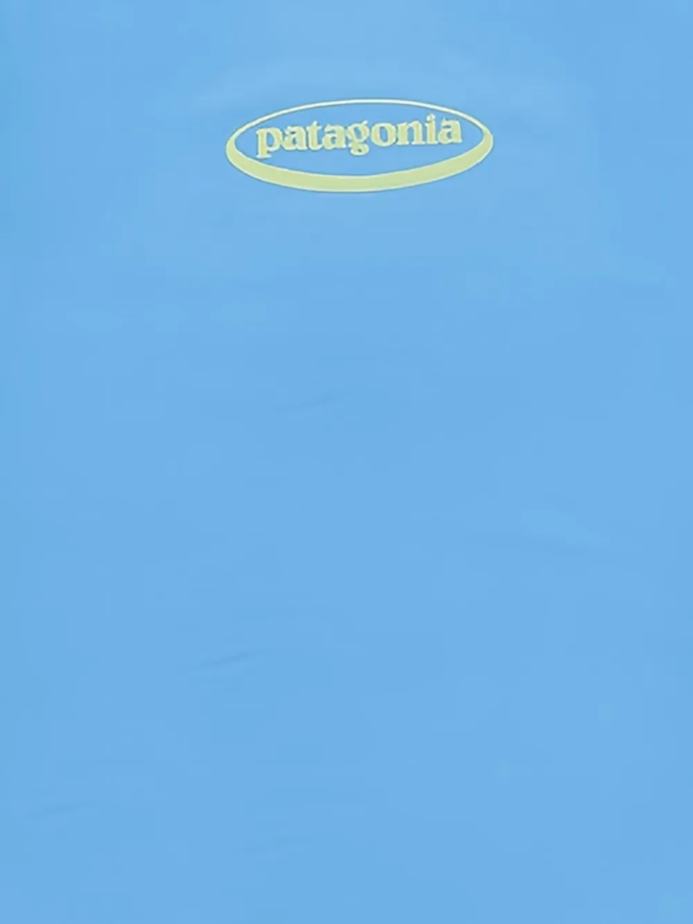 Patagonia Capilene T-shirt met logo-print Blauw