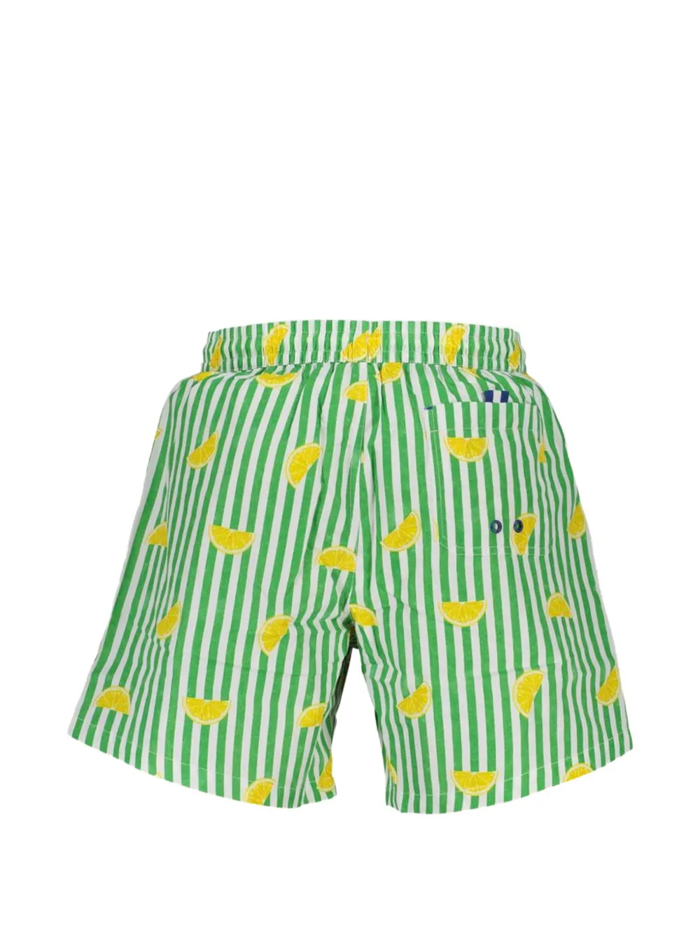 North Sails 레몬 프린트 스트라이프 스윔 쇼츠 | 스윔 쇼츠 | Image 2
