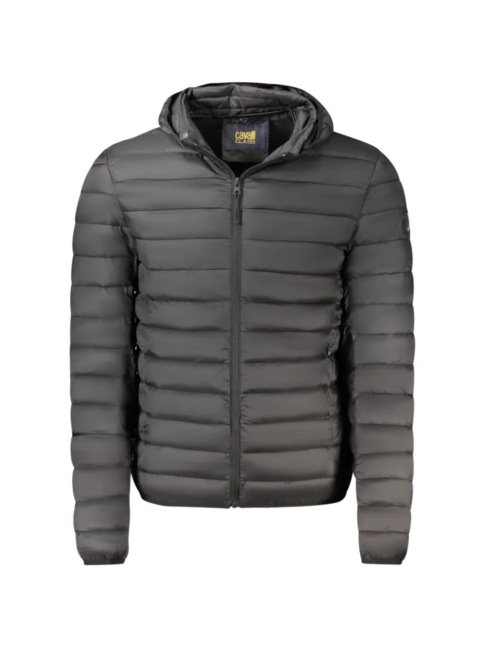Cavalli Class hooded padded jacket | gris | Image 1