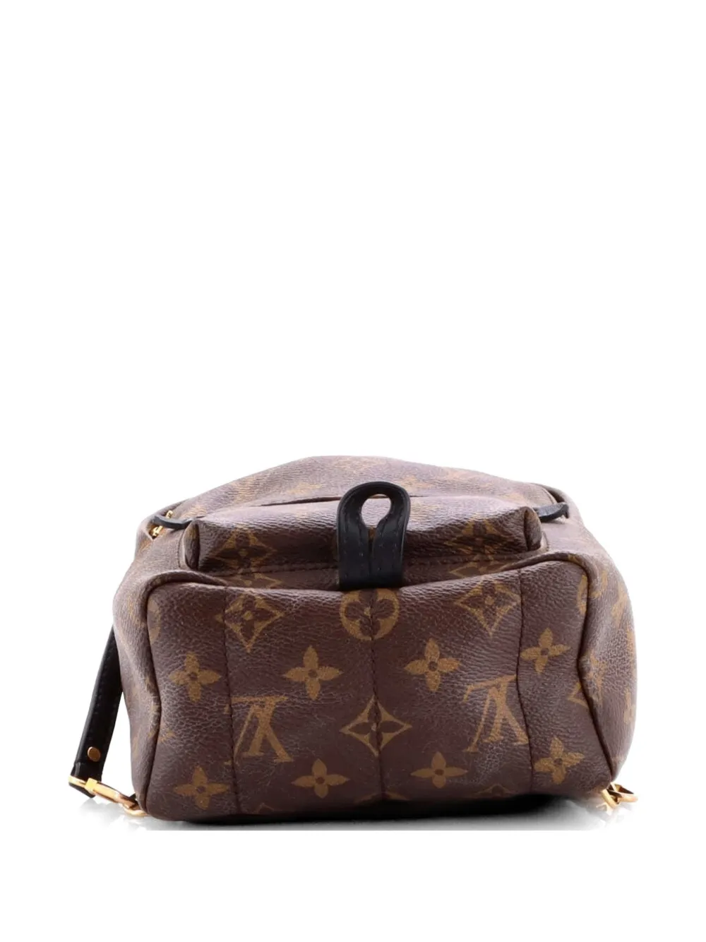 Louis Vuitton Pre-owned Palm Springs Monogram Canvas Mini Backpack in Brown, view 3