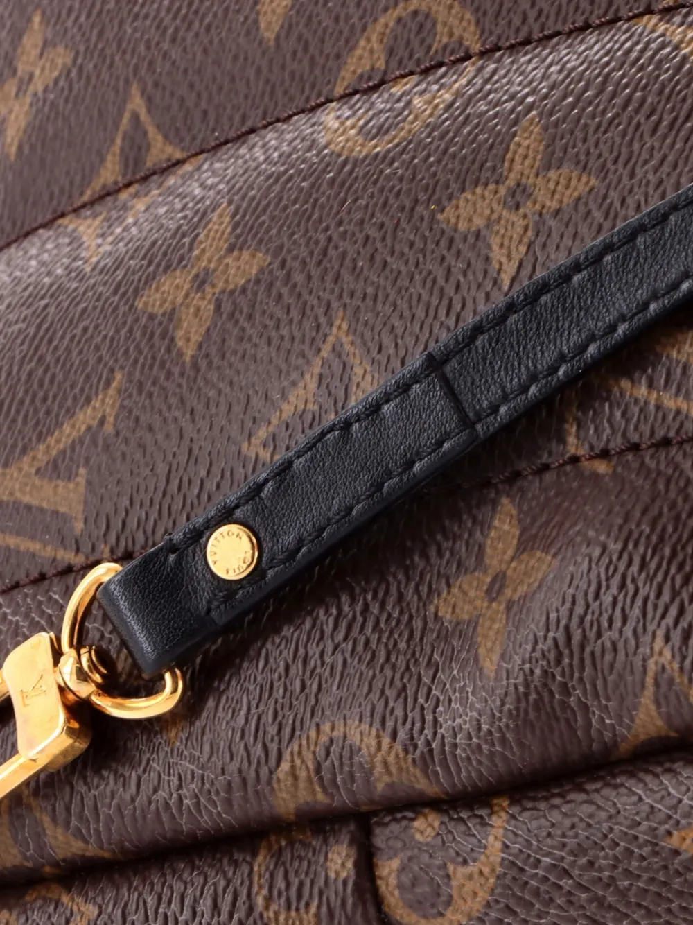 Louis Vuitton Pre-owned Palm Springs Monogram Canvas Mini Backpack in Brown, view 4