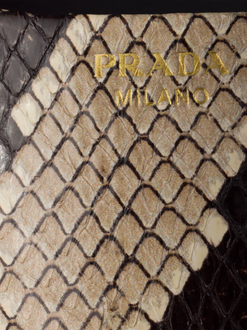 Prada Ayers leren pumps met print Beige