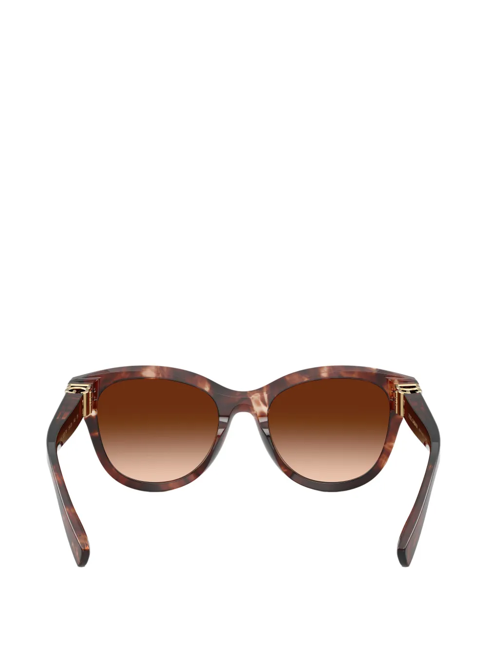 Dolce & Gabbana Eyewear Zonnebril met schildpadschild-effect Bruin