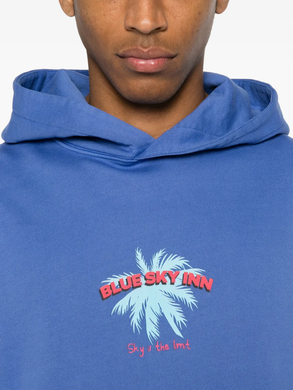 BLUE SKY INN Hoodie met print Blauw