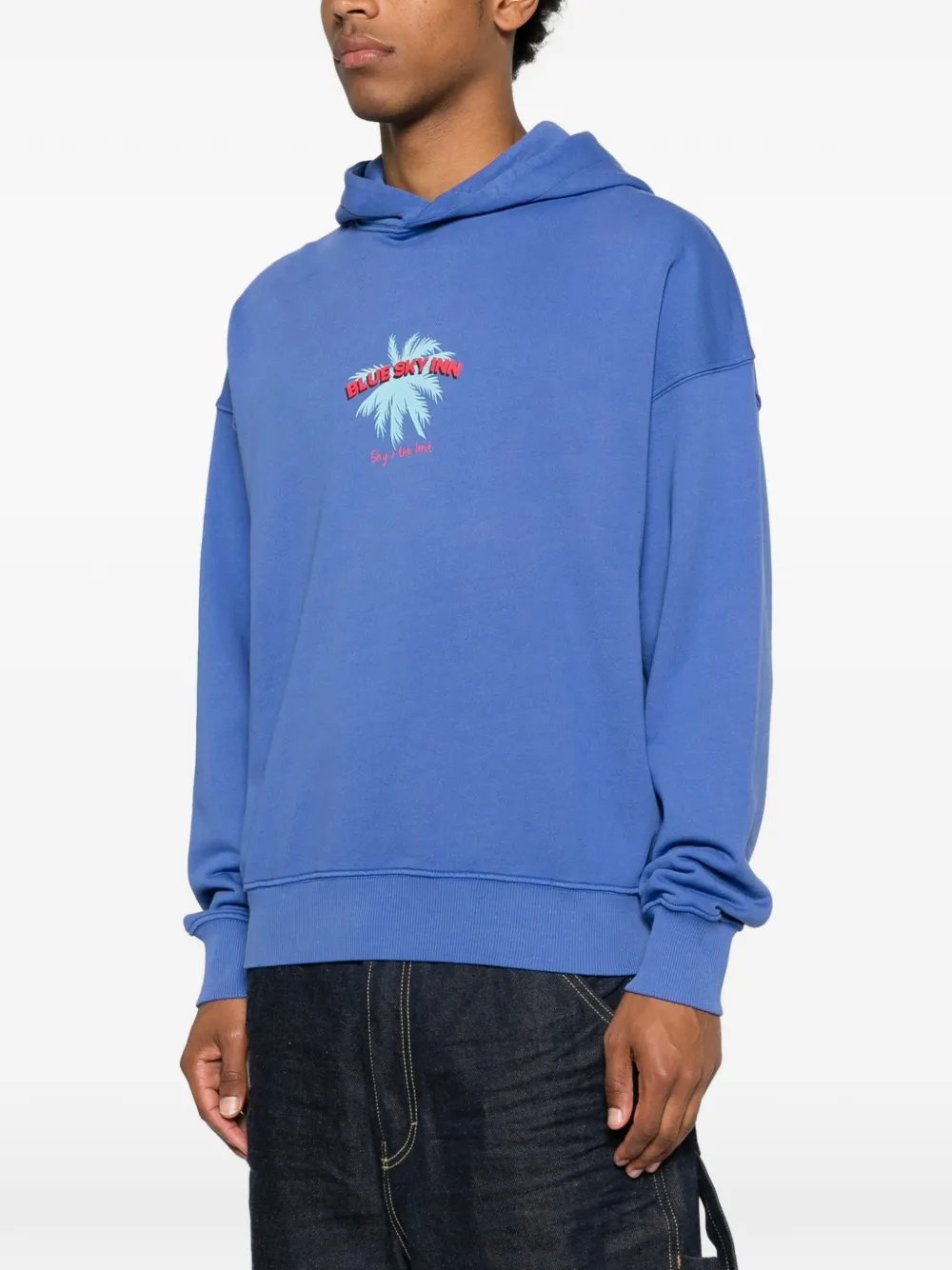 BLUE SKY INN Hoodie met print Blauw