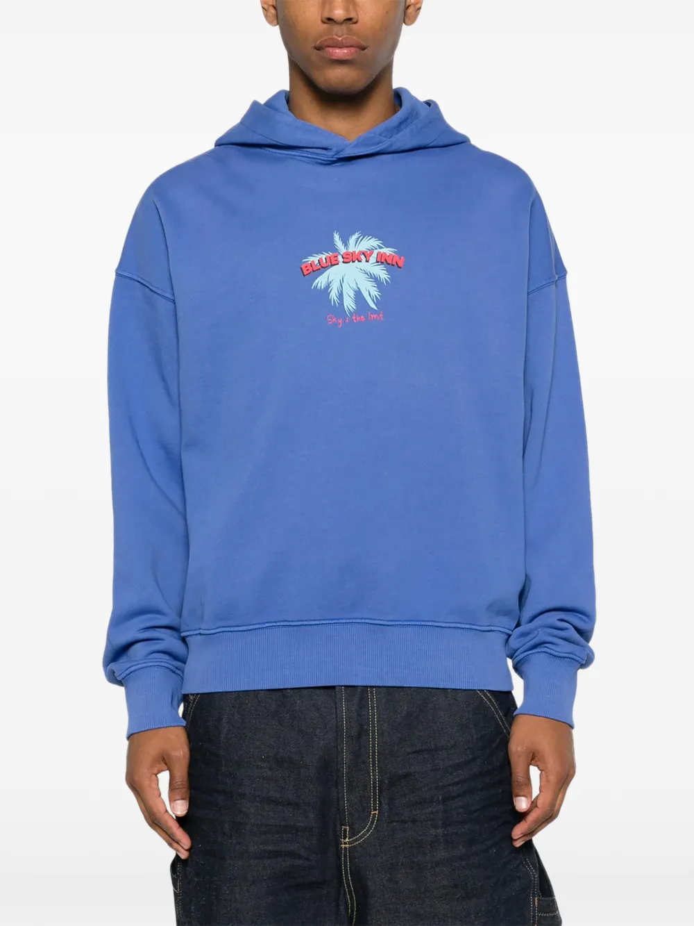 BLUE SKY INN Hoodie met print Blauw