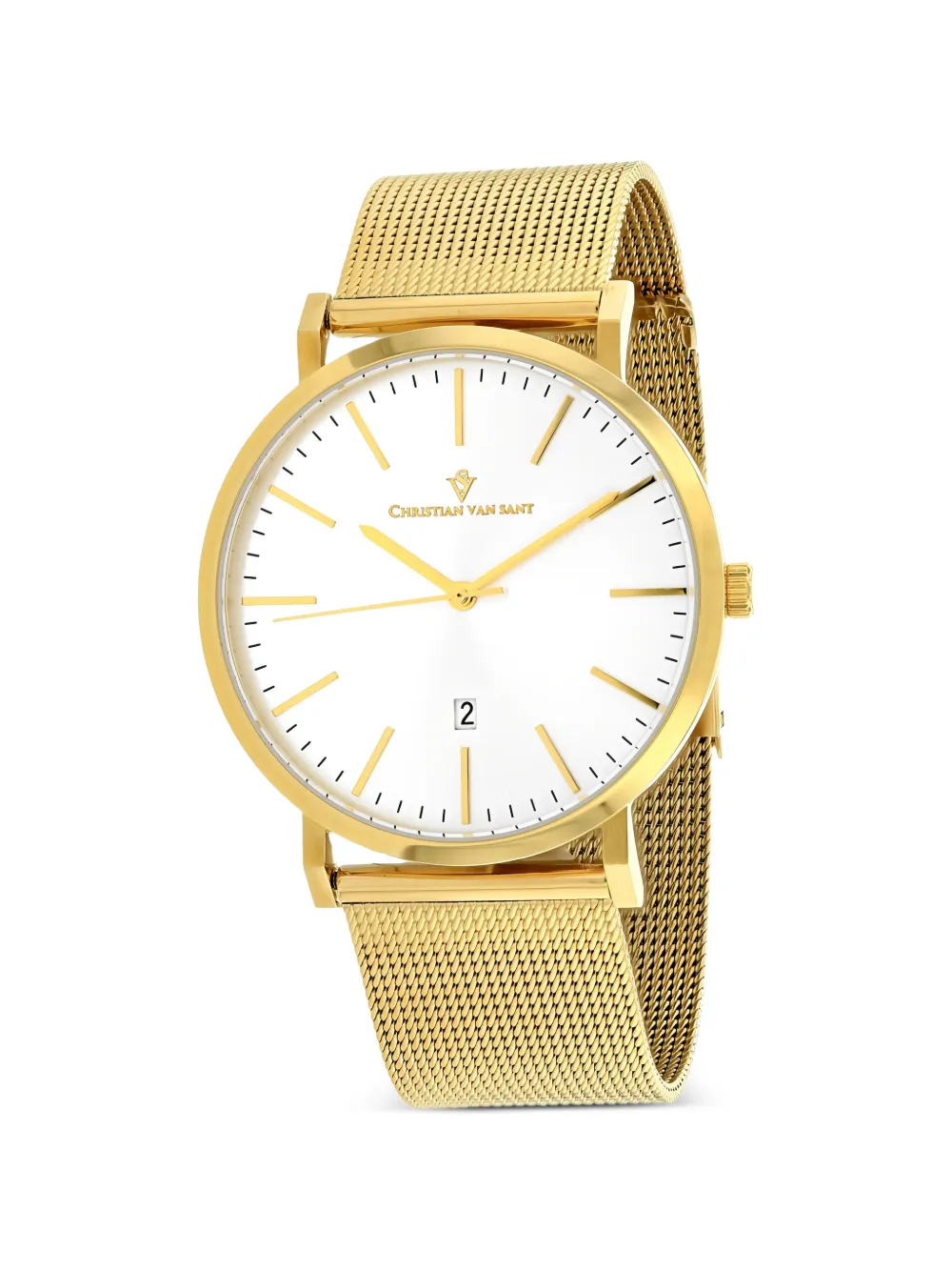 CHRISTIAN VAN SANT Paradigm 41mm watch - Argento