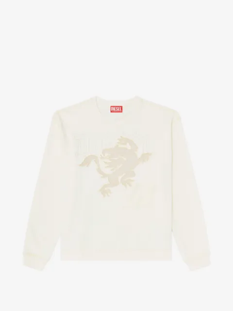 Diesel sweatshirt with embroidery and print