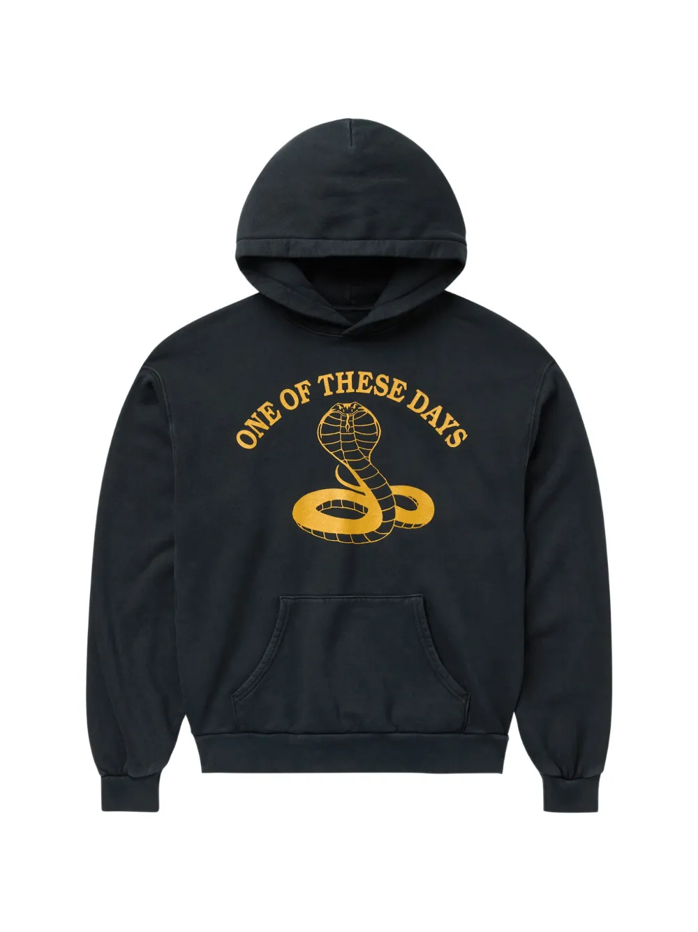 One Of These Days Cobra hoodie - Nero