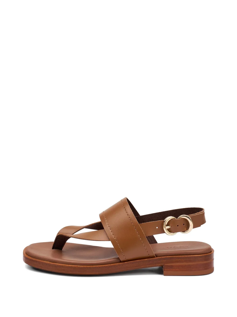FRAU leather thong sandals Bruin