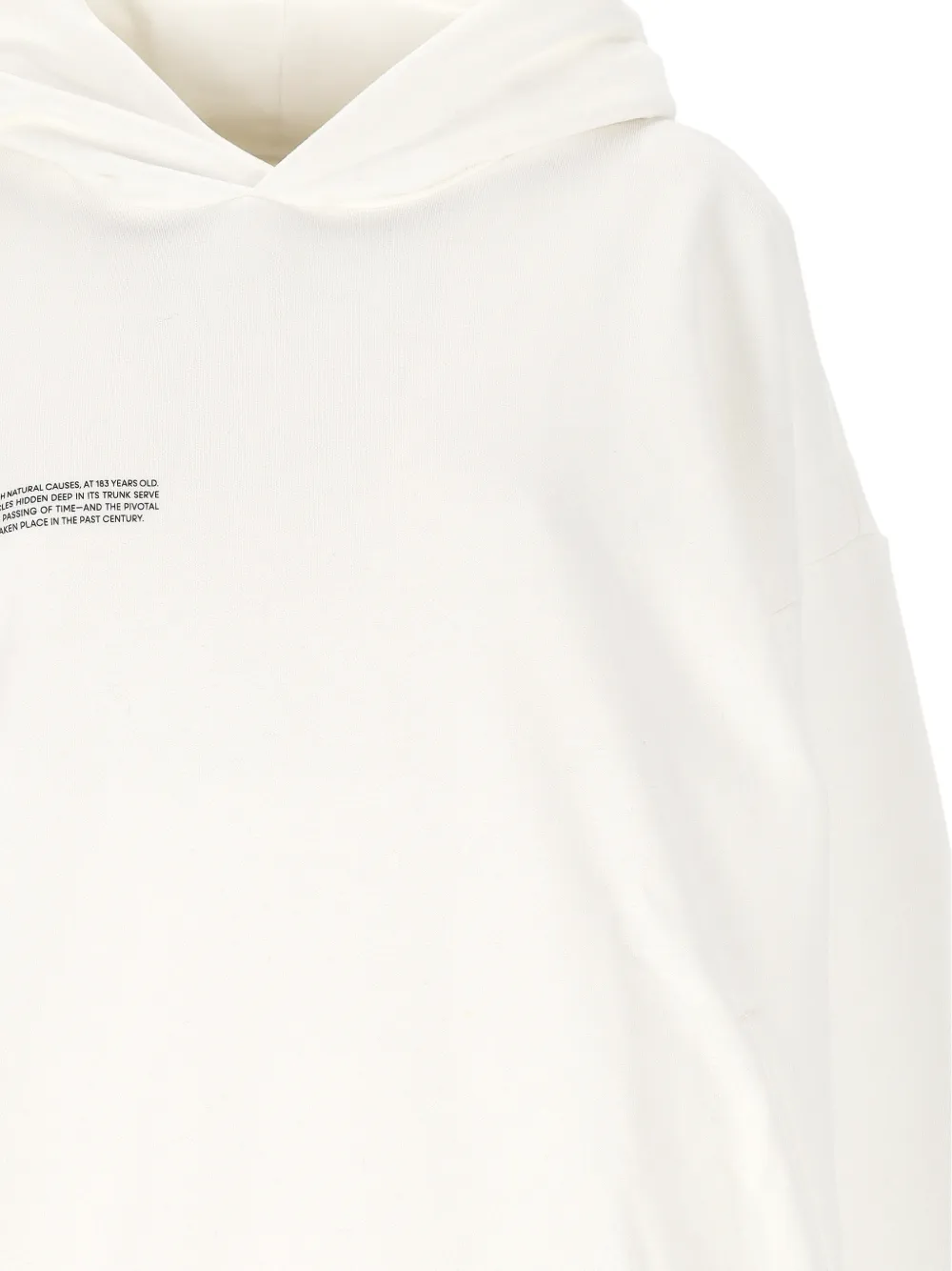 Pangaia Hoodie met grafische print Beige