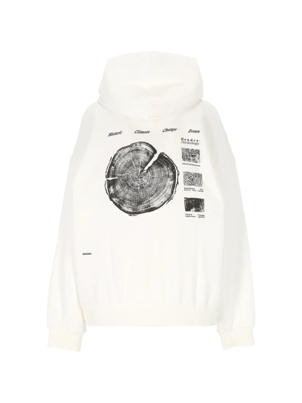 Pangaia Hoodie met grafische print Beige