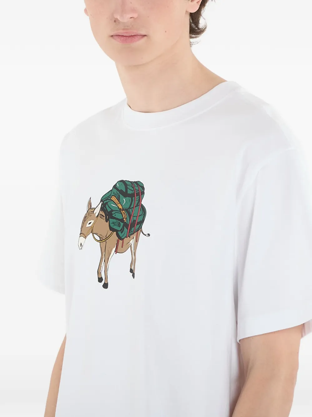 The North Face Donkey Taxi T-shirt Wit