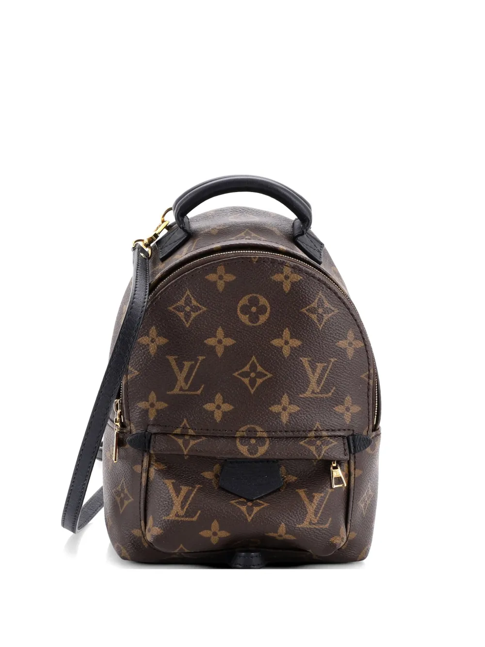 Louis Vuitton Pre-Owned Palm Springs Monogram Canvas Mini backpack - Marrone
