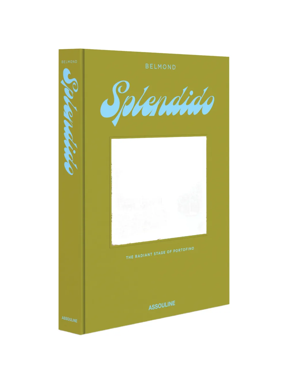 Assouline Splendido book - Grün