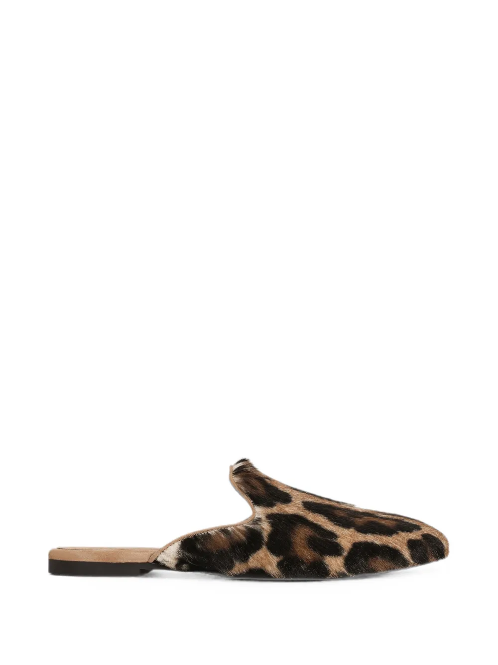 Dolce & Gabbana Mules Leo - Marrone