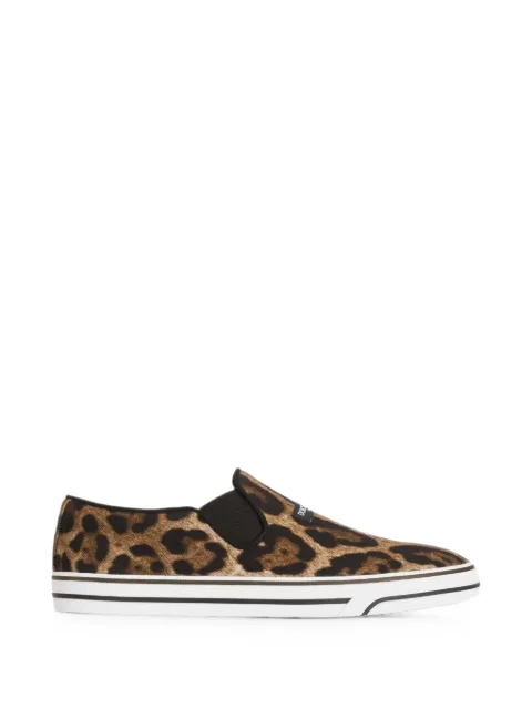 Dolce & Gabbana leo-print canvas DG Sailing sneakers 