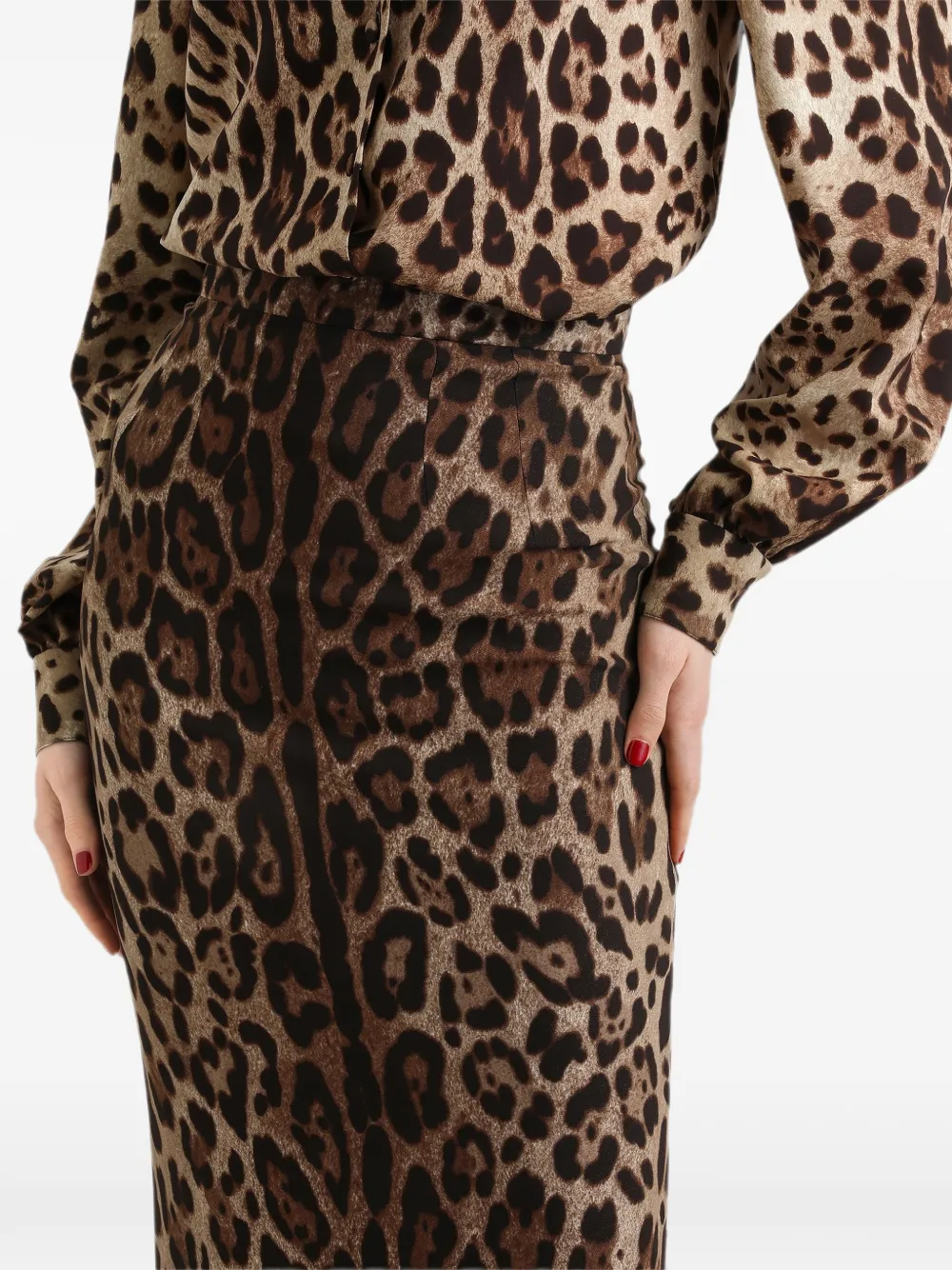 Dolce & Gabbana Rok met luipaard-print Beige