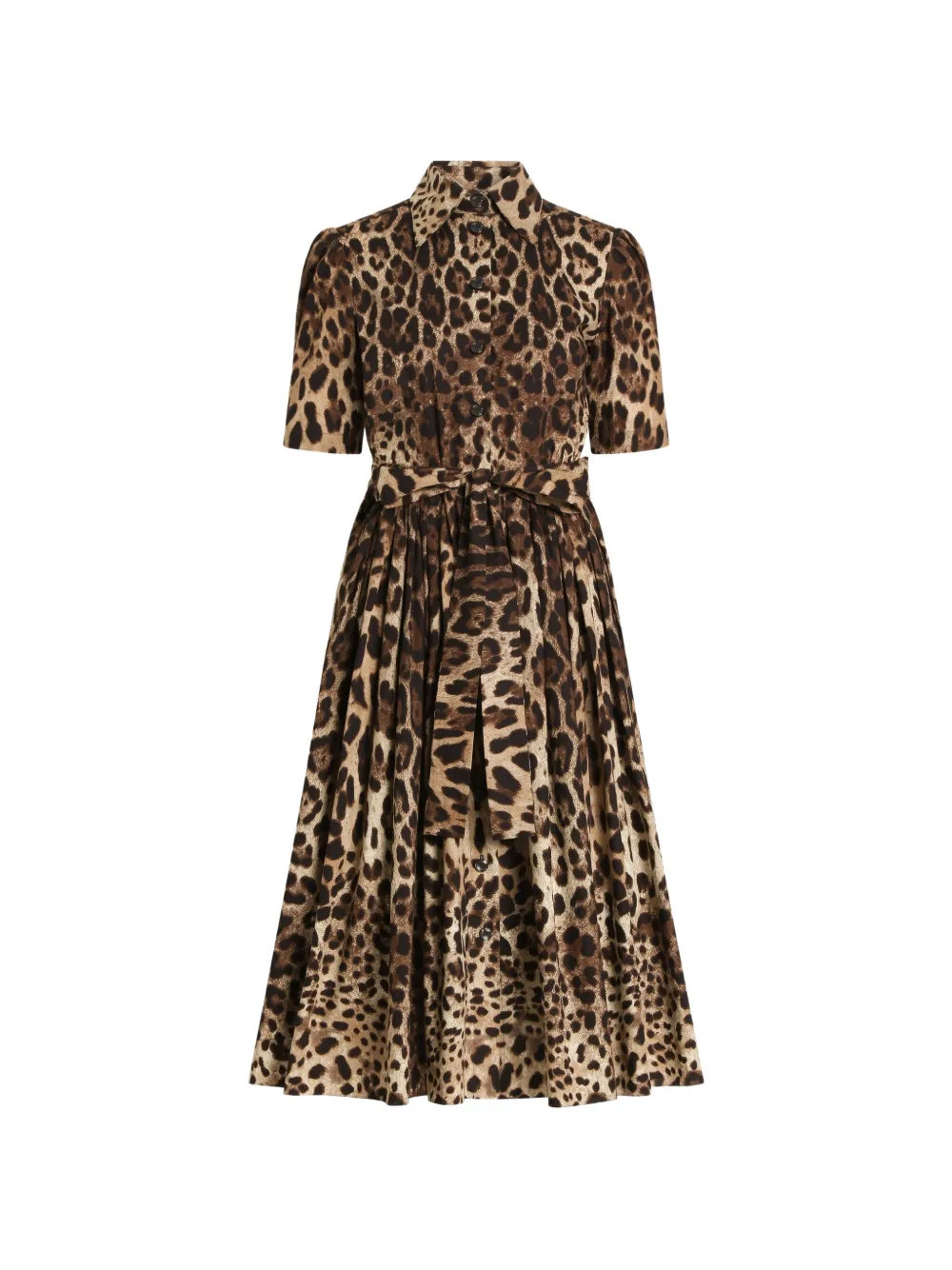 Dolce & Gabbana Popeline blousejurk met Leo-print Beige