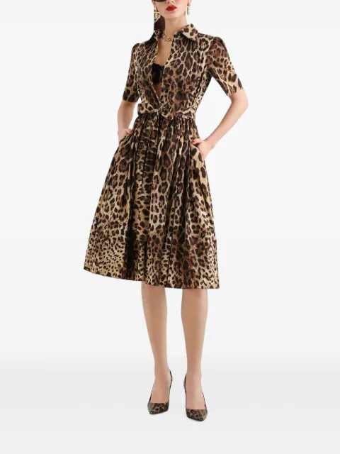 Dolce & Gabbana leo-print poplin shirt dress