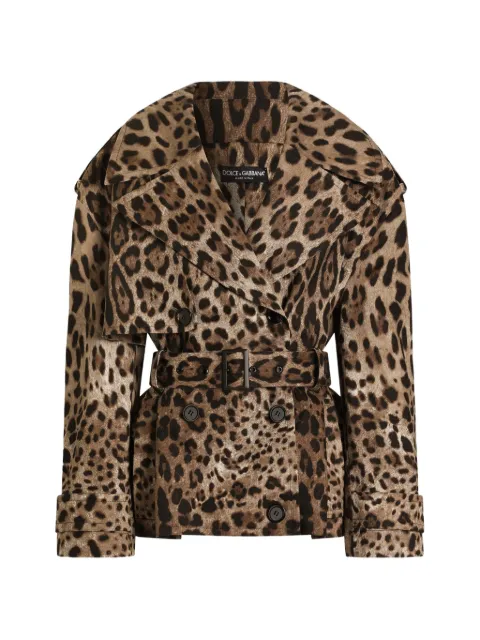 Dolce & Gabbana chamarra con estampado Leo