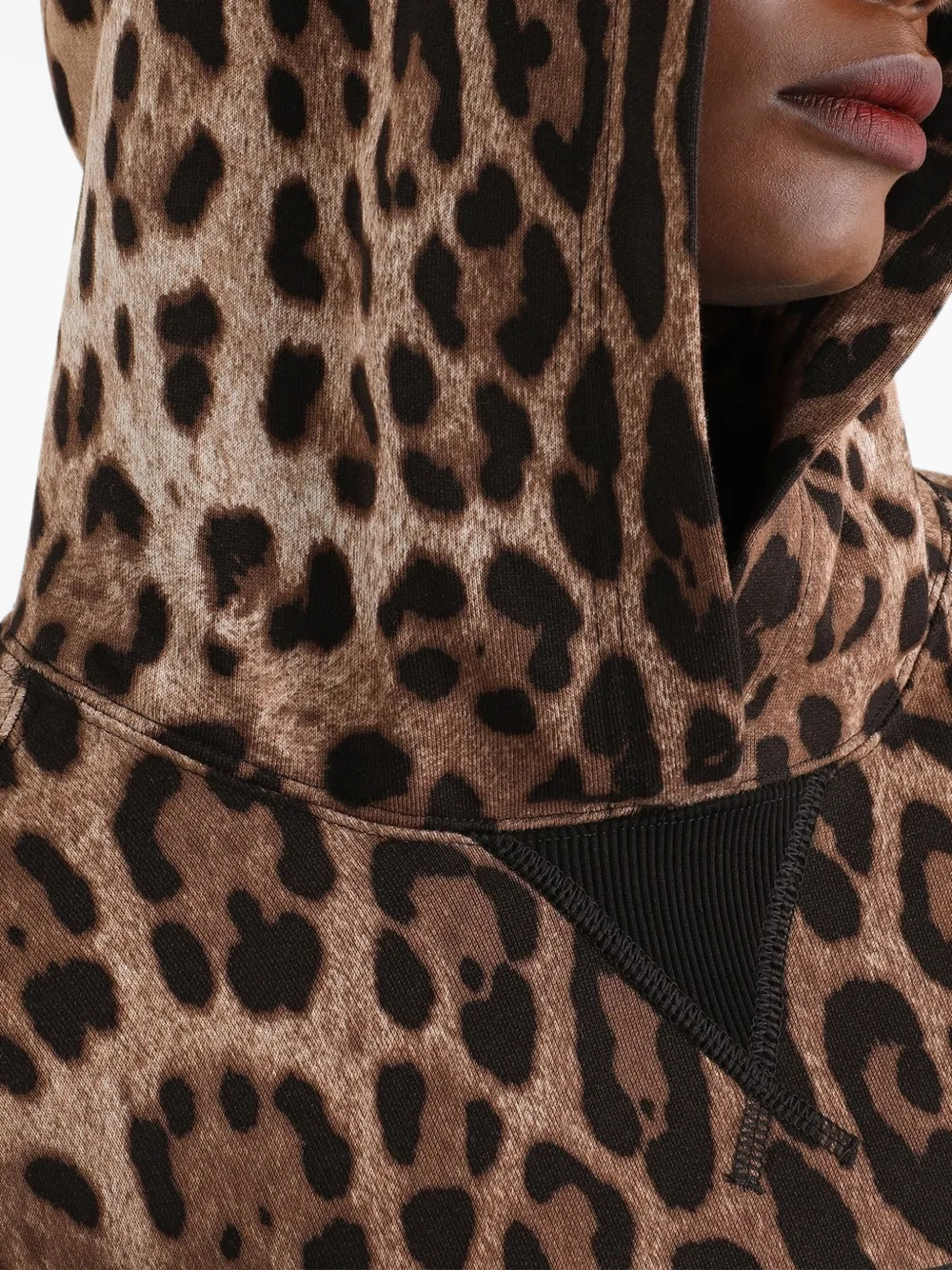 Dolce & Gabbana Sweater met luipaard-print en capuchon Bruin