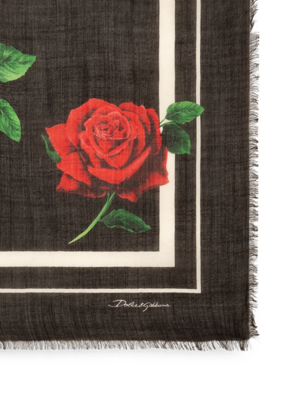 Dolce & Gabbana Katoenen stola met roosprint Zwart