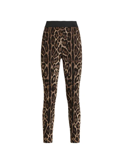 Dolce & Gabbana leo-print cady leggings