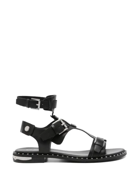 Ash buckle-fastening studded sandals