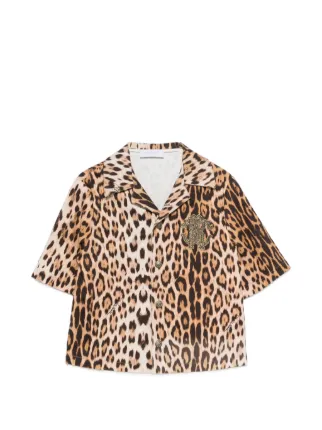 Roberto Cavalli Junior