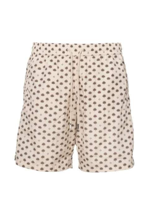 Jacob Cohën palm tree-print swim shorts