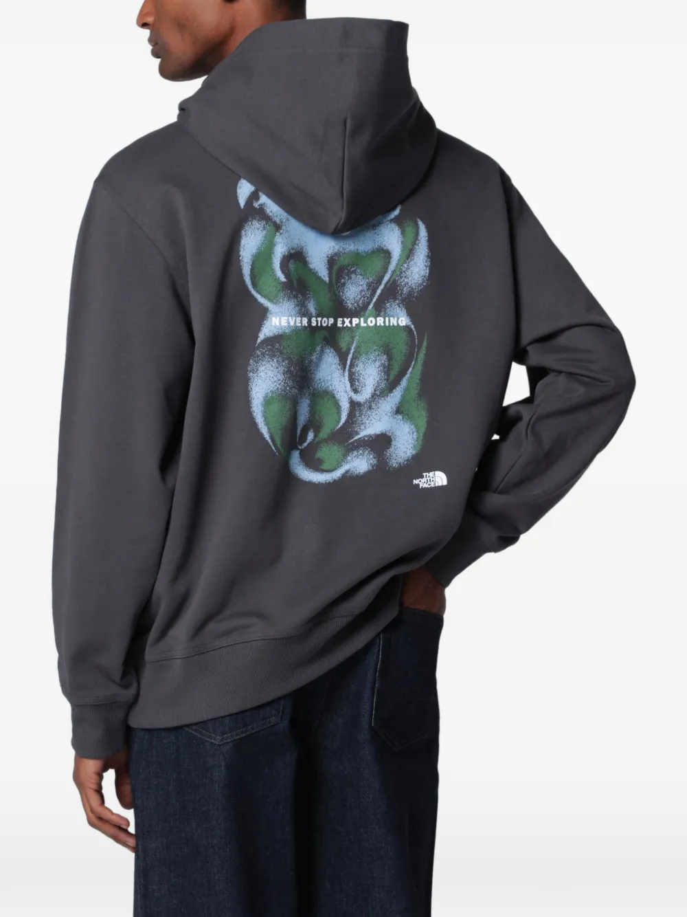 The North Face Hoodie met logoprint Grijs