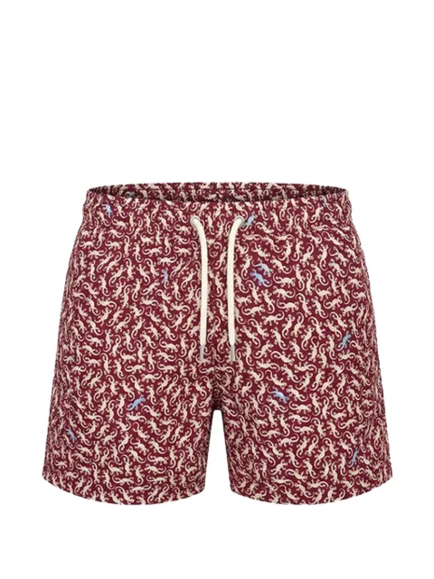 MC2 Saint Barth Kids Jean gecko-print drawstring swim shorts