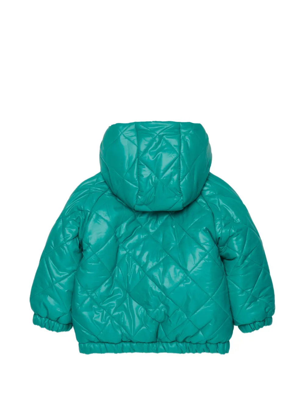 Marni Kids Gewatteerde jas Groen