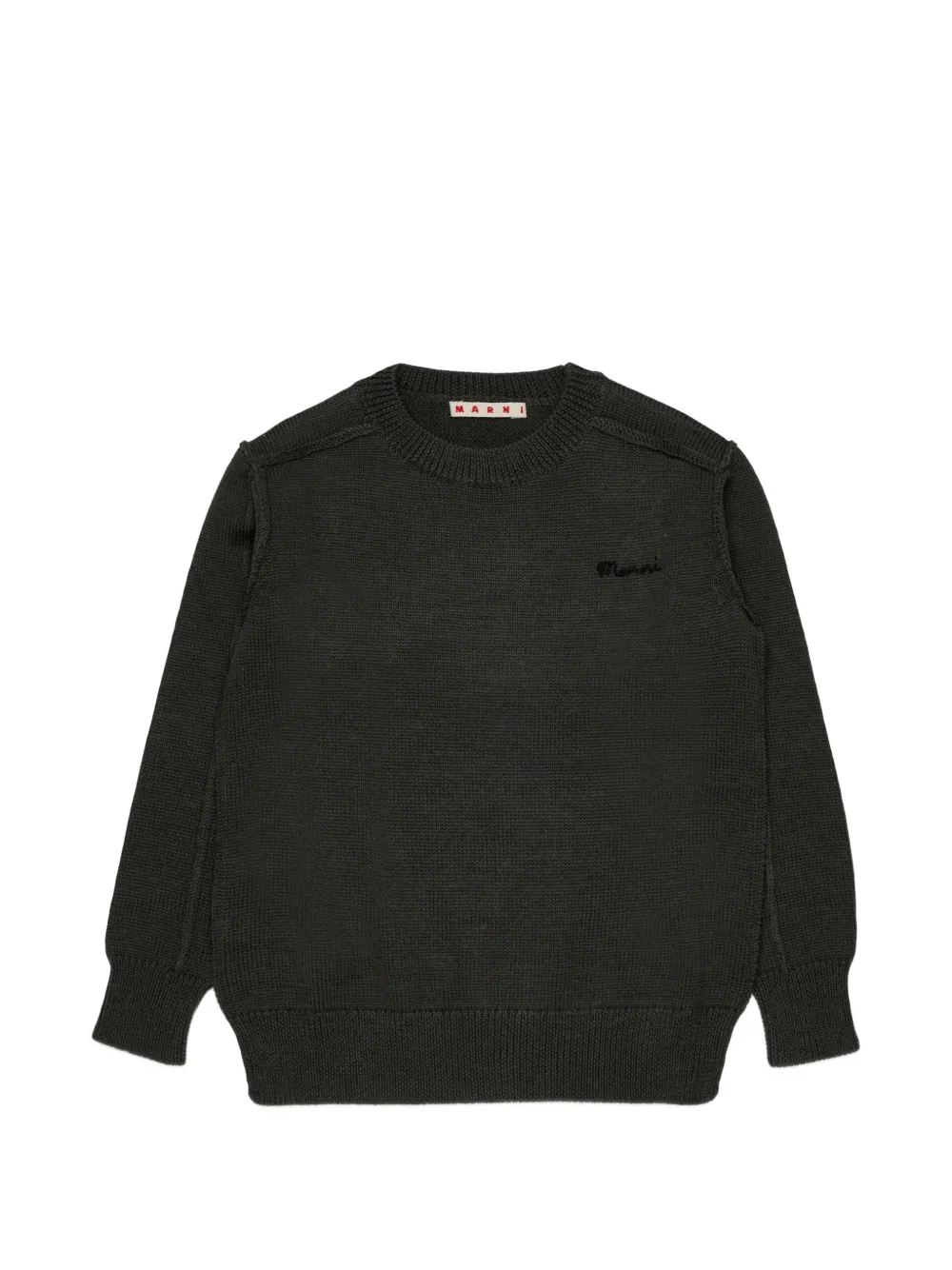 Marni Kids Maglione con ricamo - Verde