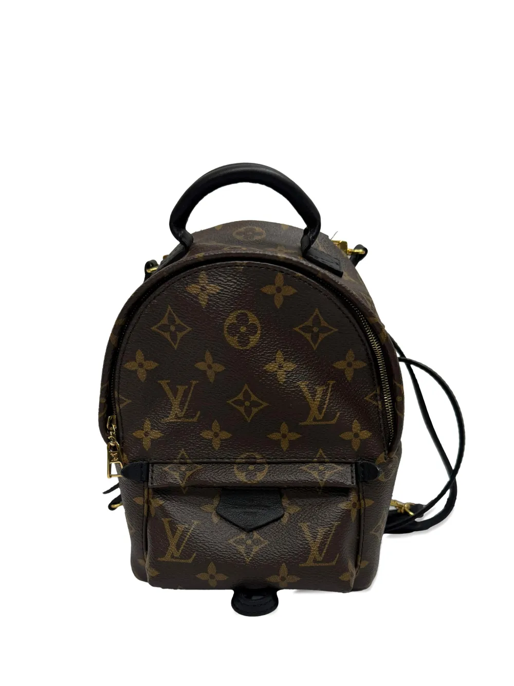 Louis Vuitton Pre-Owned Palm Springs Mini backpack - Marrone